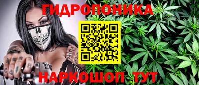 крисы Ачхой-Мартан