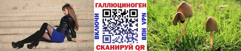 купить наркоту  гидра как войти  Галлюциногенные грибы Magic Shrooms  Лиски 