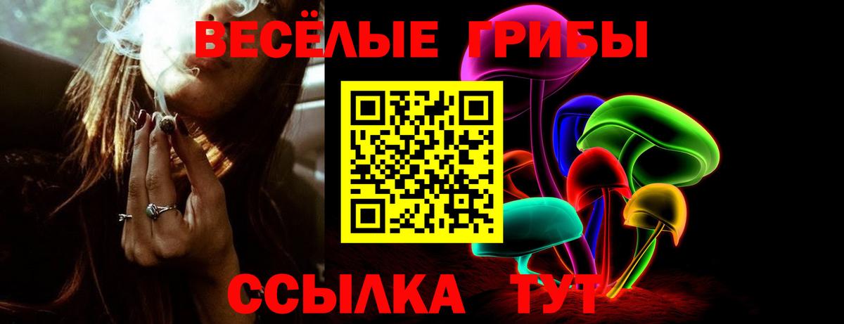 Галлюциногенные грибы GOLDEN TEACHER  Вход с VPN  Лиски 